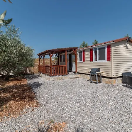 مكان تخييم 'olive Grove' House-near The *